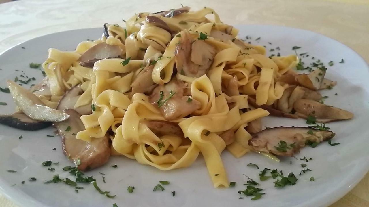 Botton D'Oro Delle Dolomiti Bed & Breakfast Vattaro ภายนอก รูปภาพ