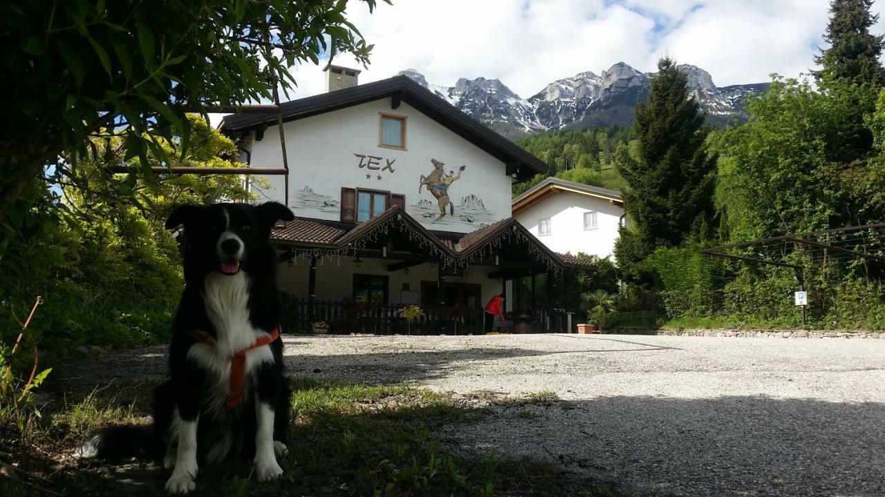Botton D'Oro Delle Dolomiti Bed & Breakfast Vattaro ภายนอก รูปภาพ